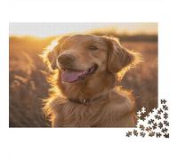Golden Retriever Jigsaw Puzzles Puzzles for Adults Kids. 1000 Piece Grassland Sunset Great Gifts Challenge Toy Educational Games Home Decoration for Adults& Kids Age 14 Years Up 1000pcs (75x50cm)