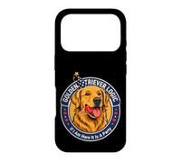 Golden Retriever Logic If I Am Here It Is A Party Case for iPhone 17 Pro