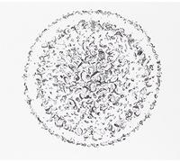 Golden Retriever - Occupied With The Unspoken