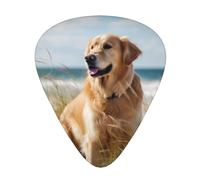 golden retriever on the beach Print Guitar Picks 12-Pack - Assorted Thickness Picks with Storage Box & Assorted Unique Design for Acoustic, Electric, Bass, and Ukulele Players