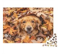 Golden Retriever Play-Autumn Leaf Pile Fun Year in Pictures 1000 Piece with Clean Edges Personalised Jigsaws for Mindfulness Activities for Adults in Hobby Kits 70x50cm/1000pcs
