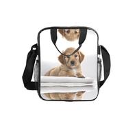 Golden Retriever Print Clear Pvc Waterproof Tote Transparent See Through Lunch Handbag,Travel Toiletry Bag,Women Men Work Shopping