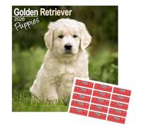 Golden Retriever Puppies Calendar 2026 with Organisational Stickers