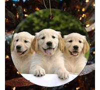 Golden Retriever Puppies Ceramic Christmas Ornaments - 4 Pcs Rustic Round Xma Tree Decor with Hanging String, Personalized Vintage Double-Sided Holiday Party Decorations for Xmas Gifts