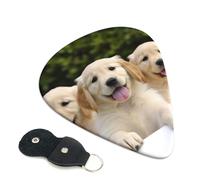 Golden Retriever Puppies Guitar Picks 6 Pack with Leather Guitar Pick Holder Keychain, Plectrum Key Fob Cases Bag, Abstract Art Plectrum for Acoustic Electric Guitar, Ukulele 0.71mm