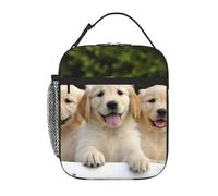 Golden Retriever Puppies Lunch Bag for Women Men Reusable Lunch Box for Office Picnic Insulated Lunch Container Leakproof Lunch Tote Bags Portable Lunch Cooler Bag Travel Lunchbox