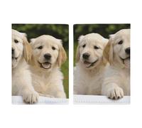 Golden Retriever Puppies Passport Holder with Card And Ticket Slot, PU Leather Passport Case Easy Access, Travel Essentials Document Organizer Waterproof Travel Wallet for Men Women