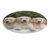 Golden Retriever Puppies Round Rug Soft Absorbent Bath Mat Entryway Anti Slip Rugs Farmhouse Front Back Door Mat 80 * 80cm for Bedroom Living Room Home Decorative