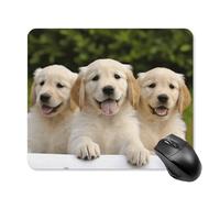Golden Retriever Puppies Square Mouse Pad Portable Computer Mousepad with Non-Slip Rubber Base 25 * 30cm Ultra-Thin Gaming Mouse Mat for Computer Laptop Office Desk Accessories