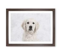 Golden Retriever Puppy Painting Modern Art Framed Wall Art Print, Ready to Hang Picture for Living Room Bedroom Home Office Décor, Walnut A4 (34 x 25 cm)