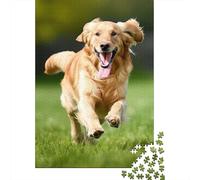 Golden Retriever Puzzle for Adults And Teenagers 1000 Pieces Puzzle for Adults Sustainable Puzzle Games 1000pcs (75x50cm)