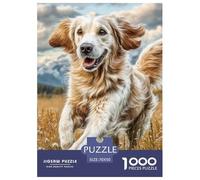 Golden Retriever Puzzles Large Dog 1000 Pieces - 100% Recycled Cardboard Decoration for Adults & Kids | 70x50cm/1000pcs