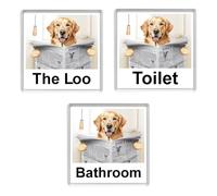 GOLDEN RETRIEVER READING A NEWSPAPER ON THE LOO Novelty Acrylic Toilet Door Sign (3 WORDINGS)