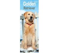 Golden Retriever Slim 2026 Calendar | Slimline Wall Calendar | Dog Breed Gift | Plastic Free Packaging | by Avonside Publishing