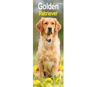 Golden Retriever Slim 2027 Calendar | Slimline Wall Calendar | Dog Breed Gift | Plastic Free Packaging | by Avonside Publishing