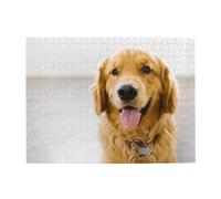 Golden Retriever Smiling Adults 500 Pieces Puzzles-Jigsaw Wooden Puzzle for Adults Elderly