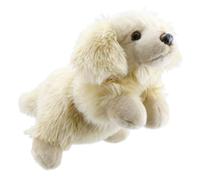 Golden Retriever Soft Toy