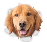 Golden Retriever Sticker, 3D Breakthrough Effect, Reflective, Waterproof, Funny Decoration for Laptop, Fridge, Car, Bumper, Window (15 cm/5.9 Inches)