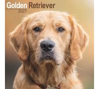 Golden Retriever Wall
