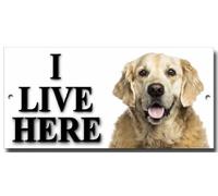Golden Retriever warning,security sign.I LIVE HERE.