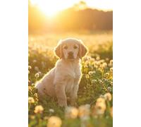 Golden Retriever Welpe: Notitzbuch | Tagebuch | liniert | 100 Seiten | 17x24,4cm