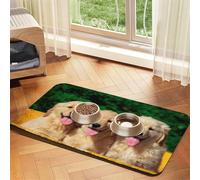 Golden Retriever With Smiling Face Customized Dog,Waterproof Pet Feeding Mat,PU Leather Placemats for Cat Dog Water Bowl,Food Mats,40x60cm