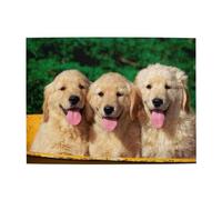 Golden Retriever With Smiling Face Dog Adults 500 Pieces Puzzles-Jigsaw Wooden Puzzle for Adults Elderly