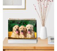 Golden Retriever with Smiling Face Dogcustom calendar 2026 farmers deskcalendars