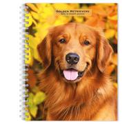 Golden Retrievers | 2025 6 x 7.75 Inch Spiral Bound Wire-O Weekly Engagement Planner Calendar | New Full-Colour Image Every Week | BrownTrout | Animals Dog Breeds Pets