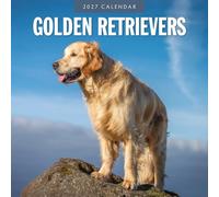 Golden Retrievers - 2027 Square Wall Calendar - by Red Robin Publishing