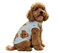 Golden Retrievers on Blue Dog Shirts for Small Doggie Pet