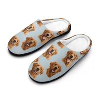 Golden Retrievers on Blue Men's Cotton Slippers Soft Cotton-Lining Warm Home Shoes Non-Slip Washable 9-10（42-43）