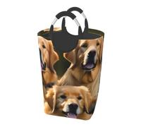 Golden Retrievers Print Home Foldable Laundry Bag Weekend Travel Gym Bathroom Collapsible Storage Basket