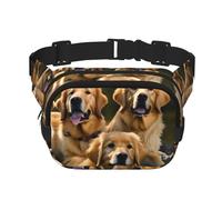 Golden Retrievers Print Square Double Layer functionality Waist Bag Unisex Crossbody Pack Travel Workout, Black, One Size
