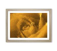 Golden Rose Flower in Abstract Framed Print | A2 Oak Framed Wall Art | Ready to Hang | Abstract Floral Picture | Living Room Bedroom Lounge Office