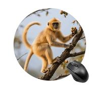 Golden Snub-Nosed Monkey Round Mouse Pads Non-Slip Rubber Base Mouse Mat Cute Mousepad Funny Computer Desk Accessories for Office Home Gaming Work 7.8 X7.8 Inch