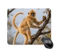 Golden Snub-Nosed Monkey Square Mouse Pads Non-Slip Rubber Base Mouse Mat Cute Mousepad Funny Computer Desk Accessories for Office Home Gaming Work 20 * 25cm