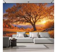 Golden Sunlight Beautiful Scenery Of Large Trees Wallpaper,Autumn Field Scenery Photo Wallpaper Yellow Wall Mural Wall Covering For Bedroom Adults Teenager Living Room Lounge Hallway 400 × 280 Cm