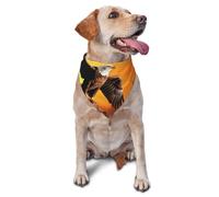 Golden Sunset Bald Eagle Dog Bandana Pet Scarf Accessories for Small Medium Dogs Cats Photo Prop, Triangle Pet Bandanas Adjustable Puppy Bib Washable Dog Kerchief Puppy Neckerchief