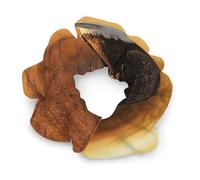 Golden Sunset Bald Eagle Satin Scrunchies Elastic Hair Bands Exquisite Soft Jumbo Scrunchy Thick Fashion Hair Ties Cute Satin Hair Scrunchies for Women Hair Accessories Gift