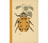 Golden Tortoise Beetle Notebook: Beautiful Illustration / 6" x 9" / 100 Lined Pages