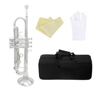 Golden Trumpet Bb B Flat Professional Brass Instrument With Box Mouthpiece Musical Instrument Accessories (Color : Silver)