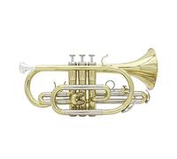 Golden Trumpet Brass Bb, Brass Student Trumpet Instrument, With Hard Case, Cleaning Kit, 7C Mouthpiece, Cloth, Gloves， For Beginner Kids & Adults