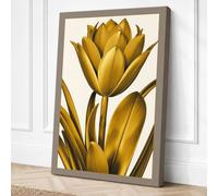 Golden Tulip Study Botanical Canvas Wall Art Print 18x12 Inch (46 x 30 cm)