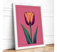 Golden Tulip Study Botanical Framed Wall Art Print A4 (29.7×21cm) White, Wall Decor for Living Room, Bedroom, Office & Home, Ready to Hang, Art Gift