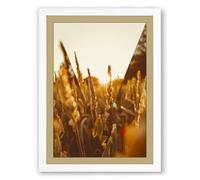 Golden Wheat at Harvest Rustic Framed Wall Art Print A3 (42×29.7cm) White, Wall Decor for Living Room, Bedroom, Office & Home, Ready to Hang, Art Gift