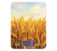 Golden Wheat Field Illustration Cooking food scale 11lb/0.18oz, 5kg/5g small kitchen digital scale with 4 unit for Baking roasting Spices (Batteries not Included)