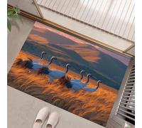Golden Wheat Fields Door Mats Indoor,45 X 75 Cm Entryway Rug Non-Slip Washable Small Rug, Red-Crowned Cranes Hill Patterns Low-Pile Indoor Door Mat Floor Orange Color Carpet For Entrance Bathroom
