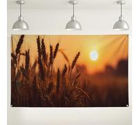 Golden Wheat Sunset Backdrop, Rustic Natural Field Photography Backgrounds, Ideal for Events and Gatherings, Autumn Harvest Party Decorations 71x43 Inch