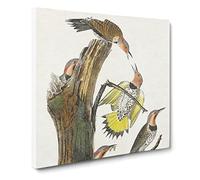 Golden winged Woodpecker Bird by John James Audubon Canvas Print | Gallery Wrapped 30mm Frame Wall Art | 20x20 inches | Ready to Hang | Retro Animals Picture | Living Room Bedroom Lounge Office